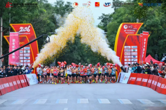 红旗遍圣地,奔跑敬初心2026延安红色半程马拉松圆满收官